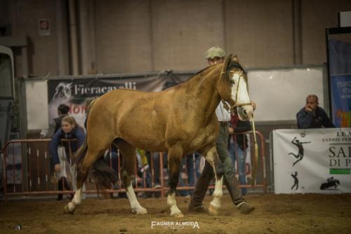 EBCC_18FA4_5378