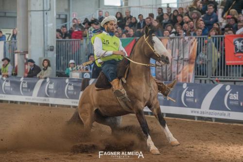 EURO_19_FA5_0409
