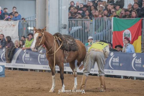 EURO_19_FA5_0416