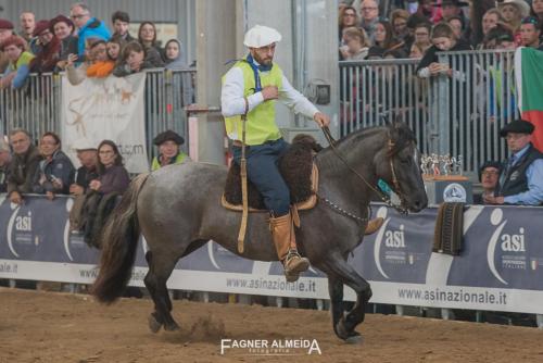 EURO_19_FA5_0439
