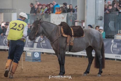 EURO_19_FA5_0451