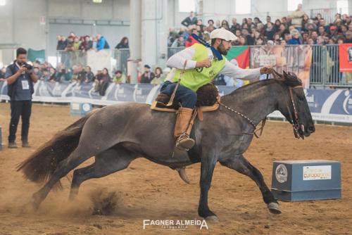 EURO_19_FA5_0473