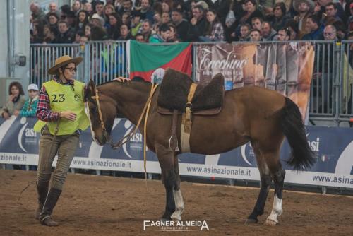EURO_19_FA5_0493