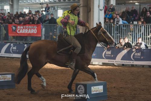 EURO_19_FA5_0496
